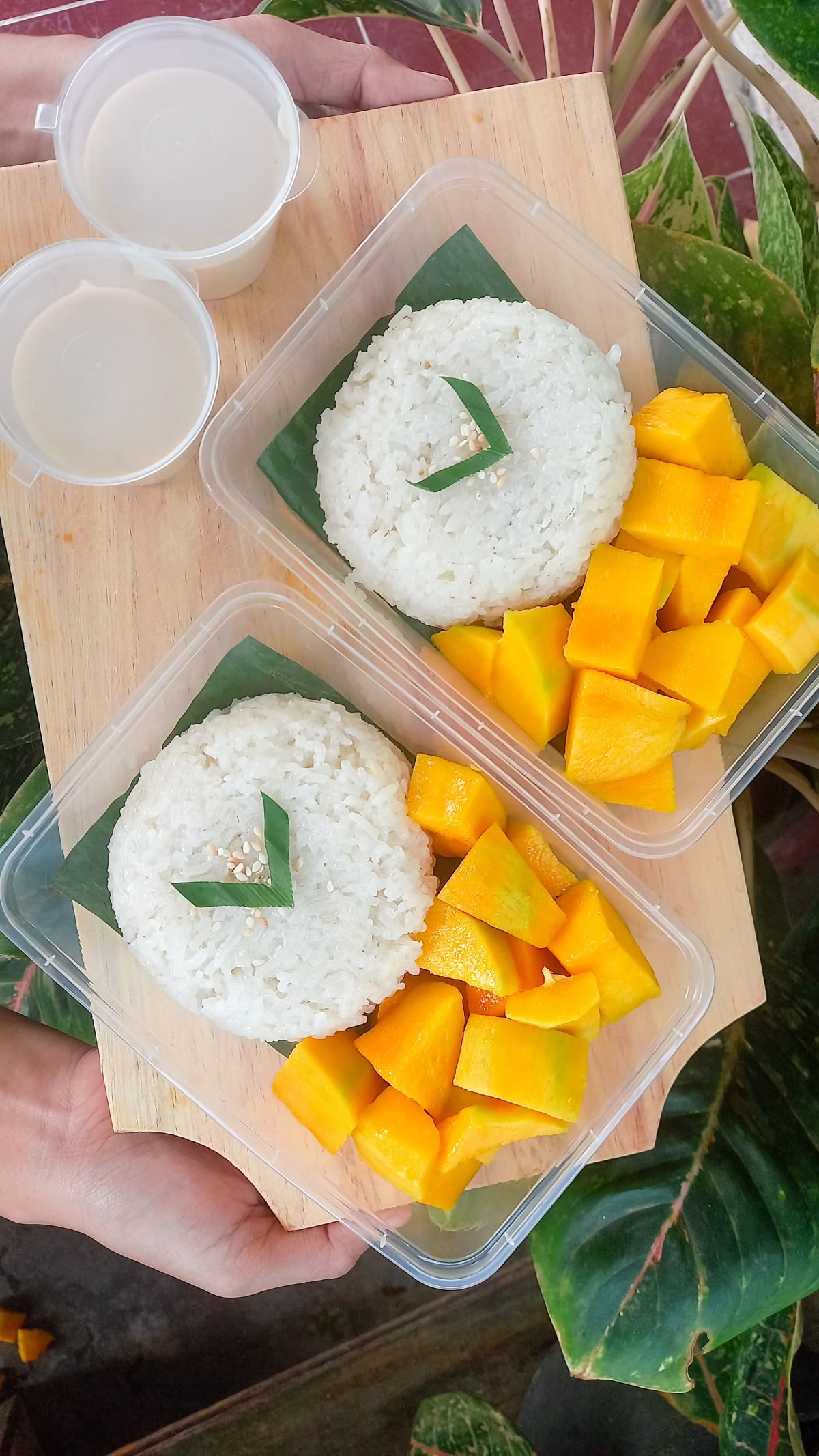 Mango Sticky Rice – Dessert Thailand Ketan Pulen & Mangga Manis